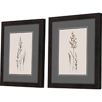 Delicate Stems Framed Art Prints, Set of 2