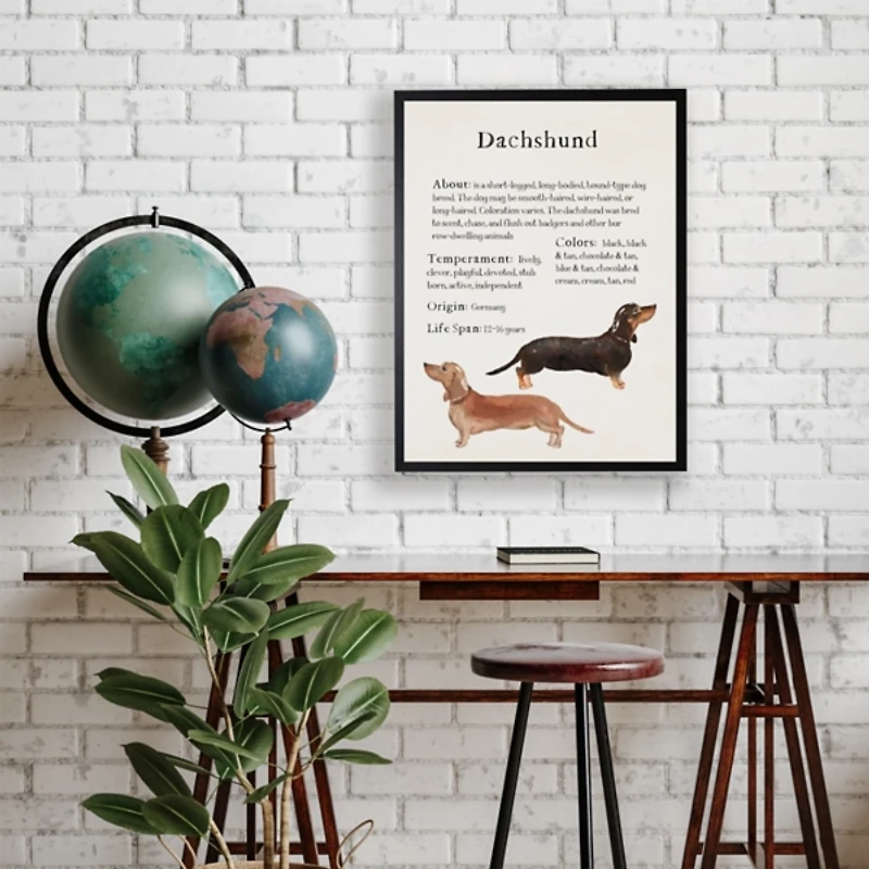 Dachshund Facts Framed Wall Plaque