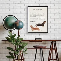 Dachshund Facts Framed Wall Plaque