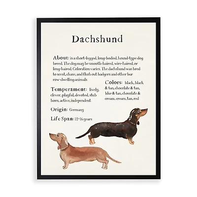 Dachshund Facts Framed Wall Plaque