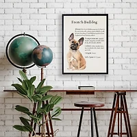 French Bulldog Boxer Facts Framed Wall Plaque