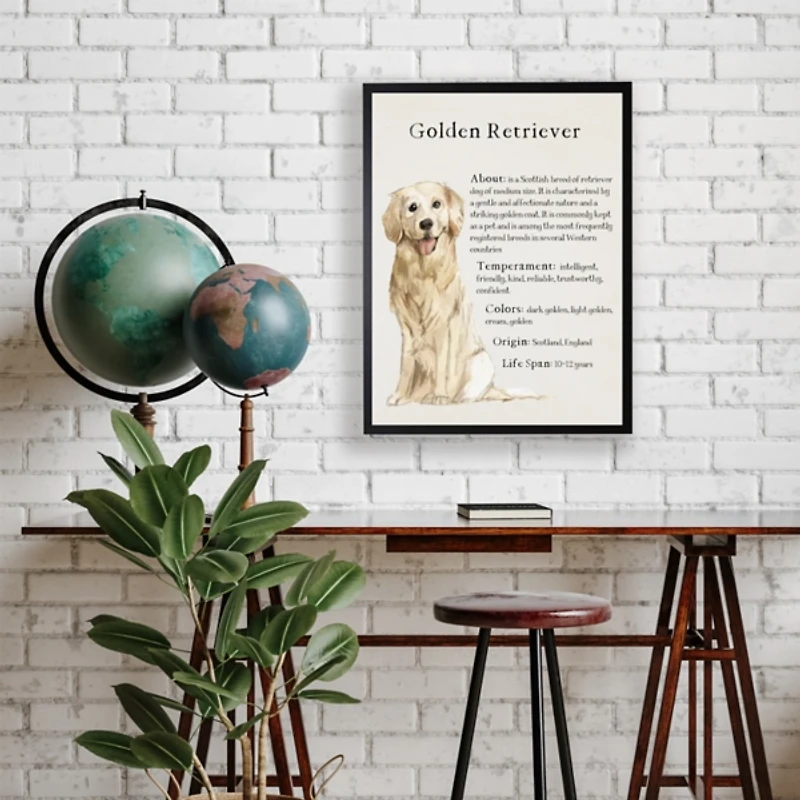 Golden Retriever Boxer Facts Framed Wall Plaque