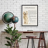 Golden Retriever Boxer Facts Framed Wall Plaque