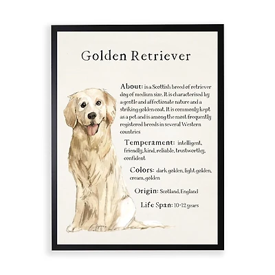 Golden Retriever Boxer Facts Framed Wall Plaque