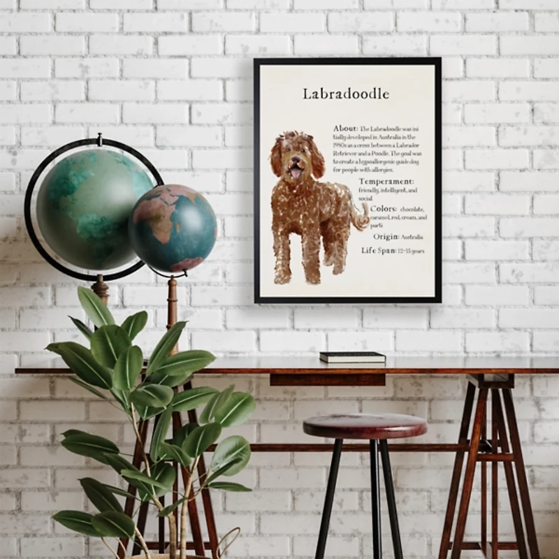 Labradoodle Facts Framed Wall Plaque
