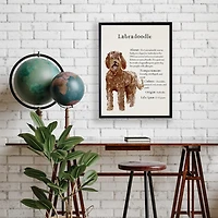 Labradoodle Facts Framed Wall Plaque