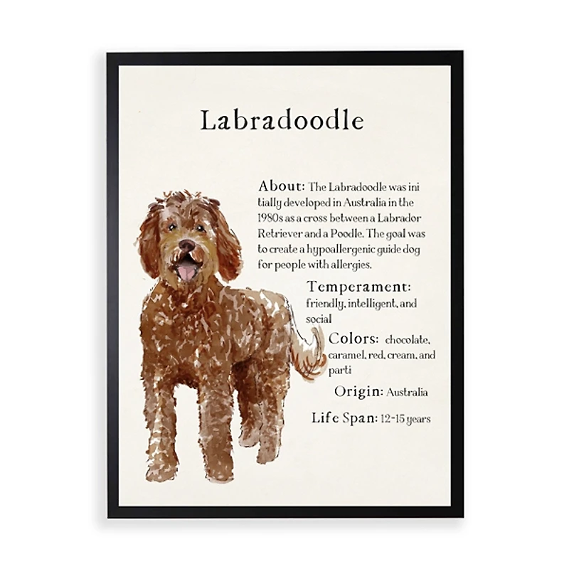 Labradoodle Facts Framed Wall Plaque