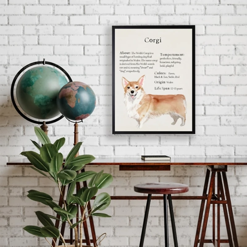 Corgi Facts Framed Wall Plaque