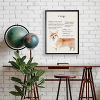 Corgi Facts Framed Wall Plaque