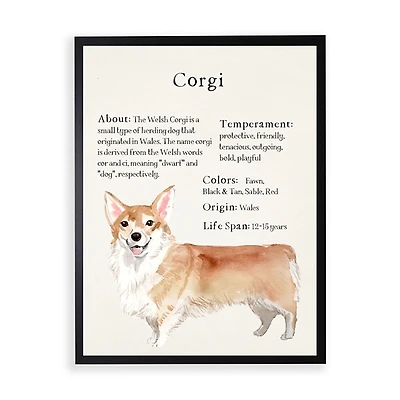 Corgi Facts Framed Wall Plaque
