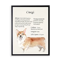 Corgi Facts Framed Wall Plaque