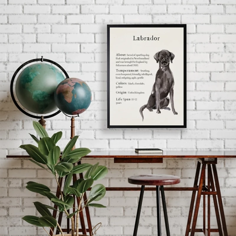 Black Lab Facts Framed Wall Plaque
