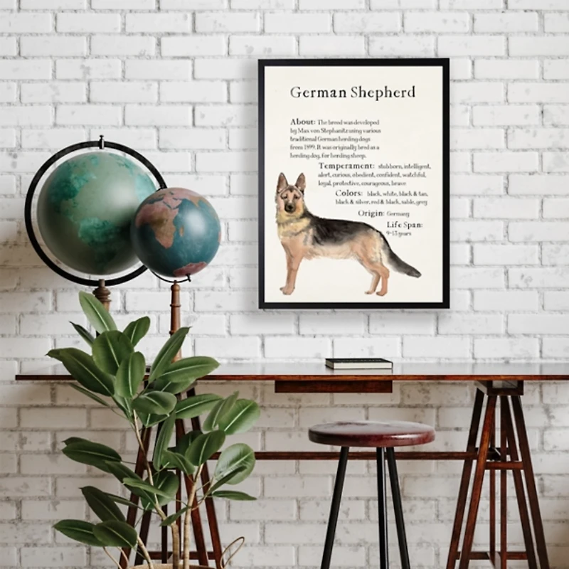 German Shepherd Facts Framed Wall Plaque