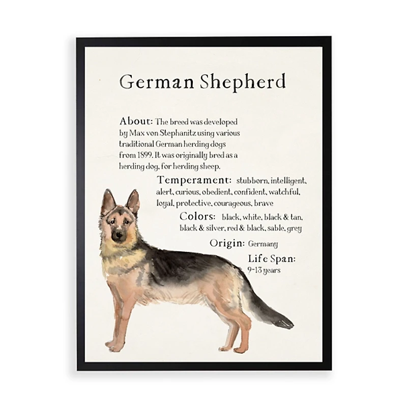 German Shepherd Facts Framed Wall Plaque