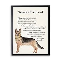 German Shepherd Facts Framed Wall Plaque