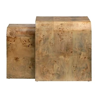Natural Mappa Burl Nesting Accent Tables, Set of 2