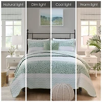 Madison Park Bloom 4-pc. California King Quilt Set