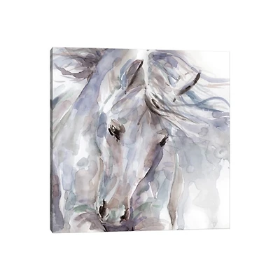 Exuberant Spirit Canvas Art Print