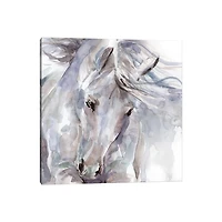 Exuberant Spirit Canvas Art Print