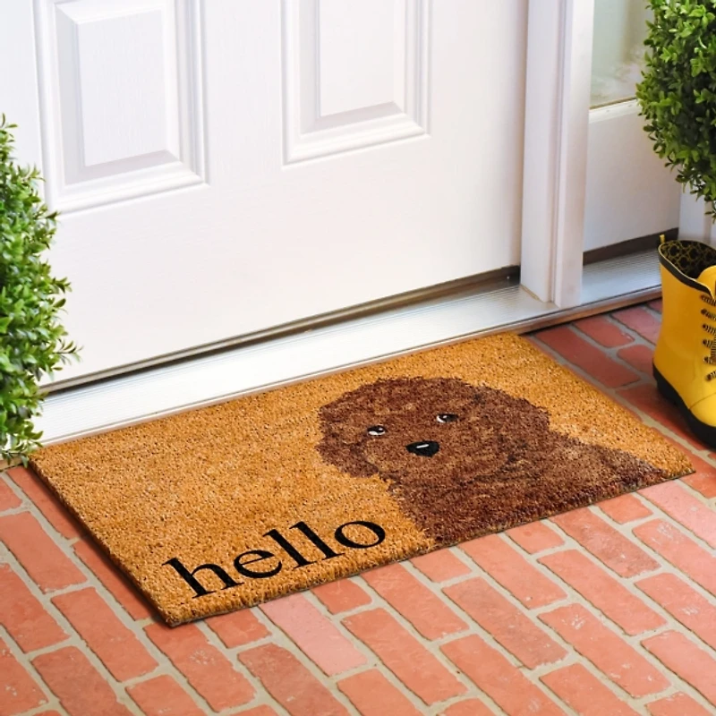 Brown Toy Poodle Hello Doormat