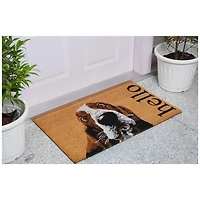Basset Hound Hello Doormat