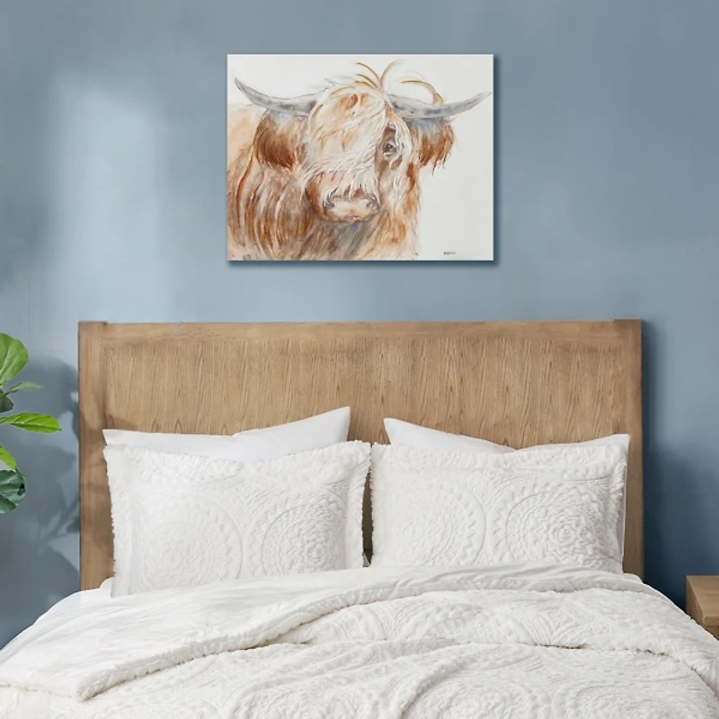 Windswept Highland Bull Canvas Art Print