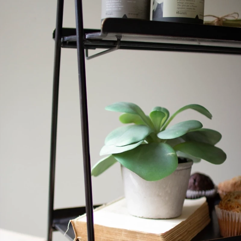 Black Metal 2-Tier Folding Display Rack