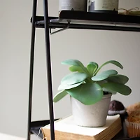 Black Metal 2-Tier Folding Display Rack