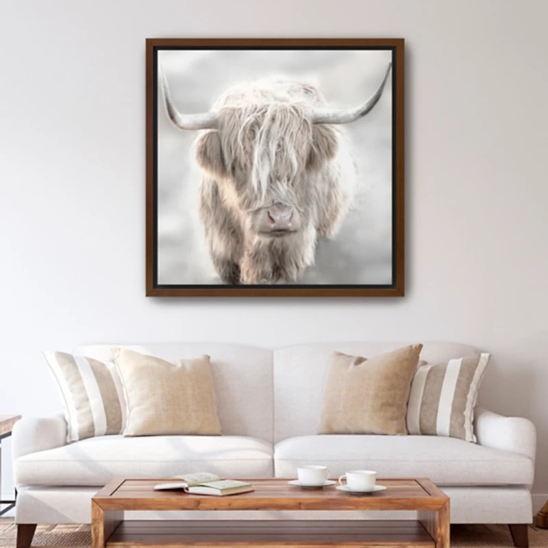 Solo Highland Cow Framed Canvas Art Print, 40x40