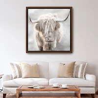 Solo Highland Cow Framed Canvas Art Print, 40x40