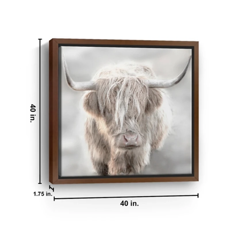 Solo Highland Cow Framed Canvas Art Print, 40x40