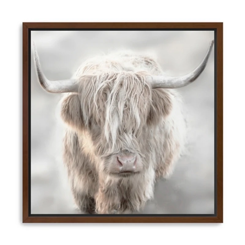 Solo Highland Cow Framed Canvas Art Print, 40x40