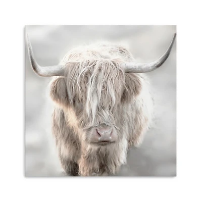 Solo Highland Cow Canvas Art Print, 40x40