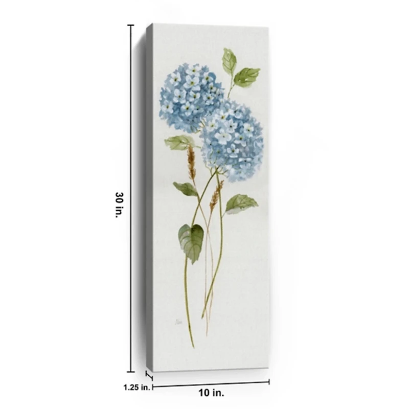 Petite Blue Hydrangea II Canvas Art Print
