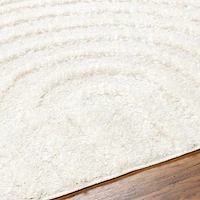 Cream Modern Curve Area Rug