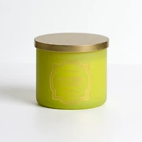 Cucumber Cactus 14 oz. 3-Wick Jar Candle