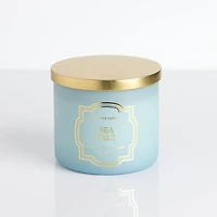 Sea Salt 14 oz. 3-Wick Jar Candle
