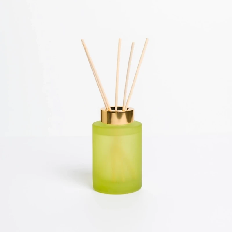 Cucumber Cactus Diffuser Set