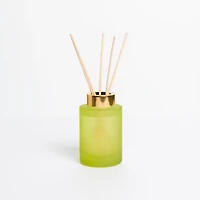Cucumber Cactus Diffuser Set