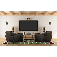 Florida State University Home Field Area Rug, 6x8