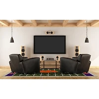 Clemson University Home Field Area Rug, 6x8