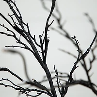 LED Black Twig Halloween Tree, 5 ft.