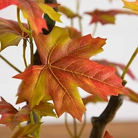 4 ft. Autumn Maple Leaves Tree