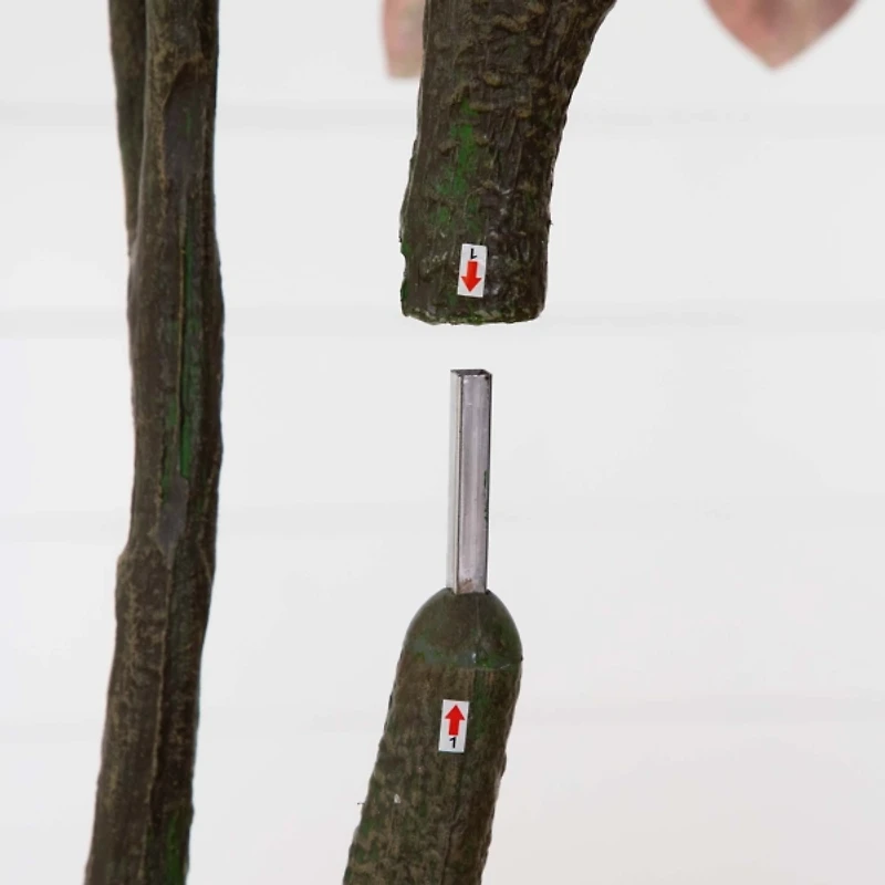 Harvest Dogwood Tree in Nursery Planter, 6 ft.