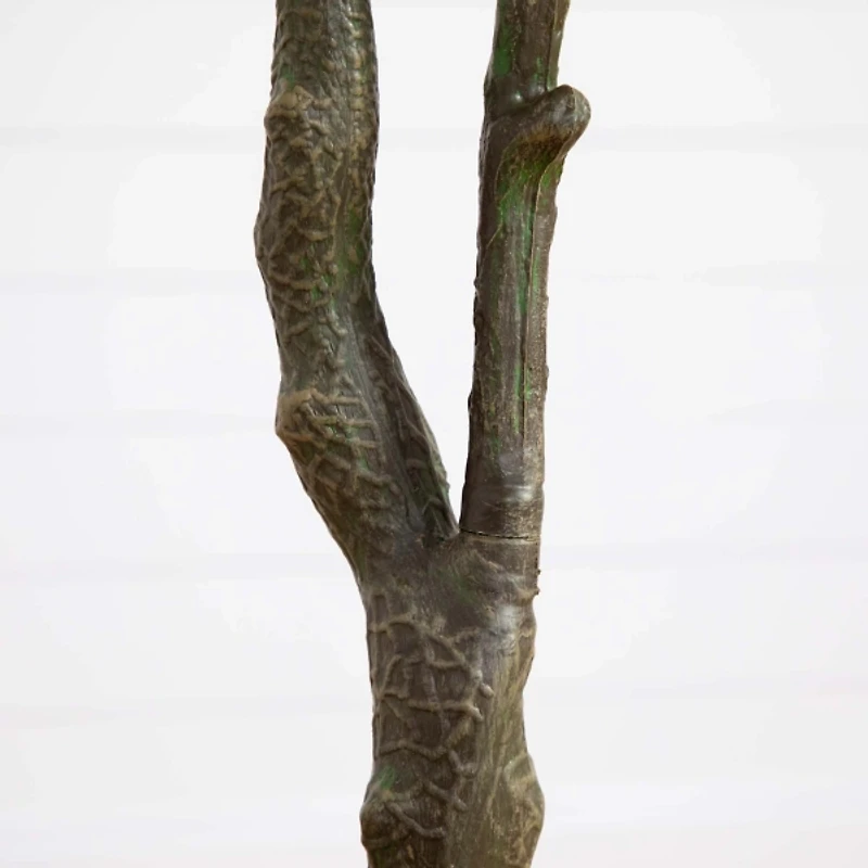 Harvest Dogwood Tree in Nursery Planter, 6 ft.