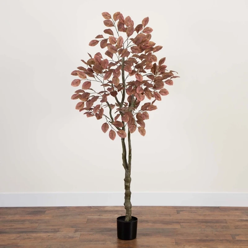 Harvest Dogwood Tree in Nursery Planter, 6 ft.