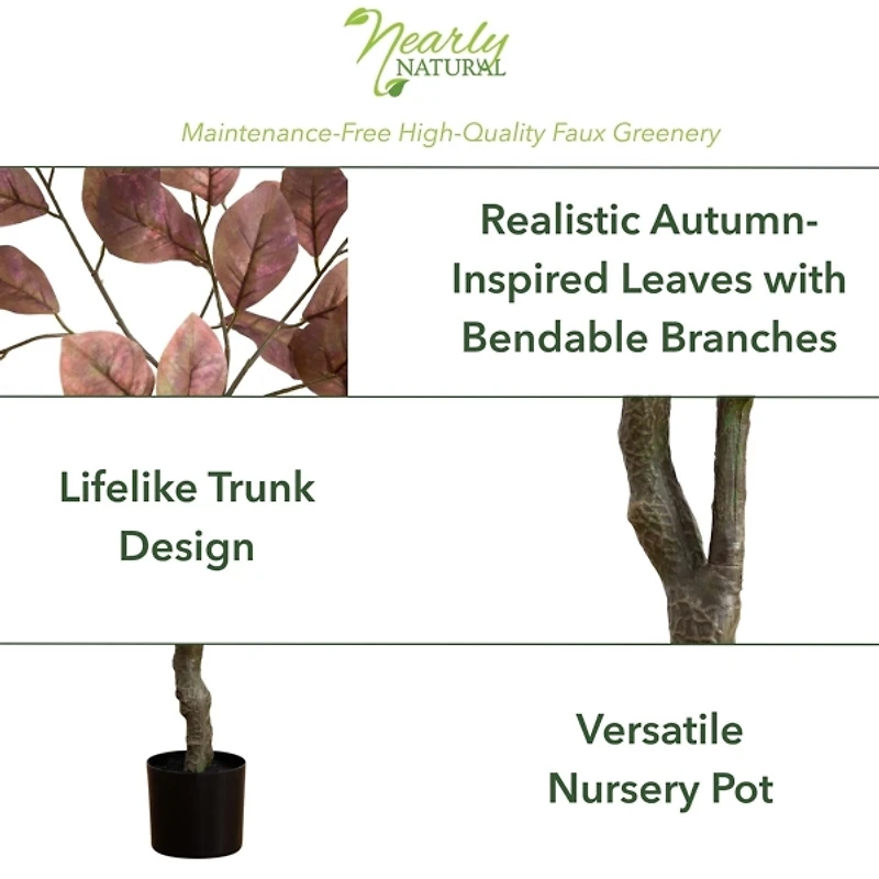 Harvest Dogwood Tree in Nursery Planter, 6 ft.