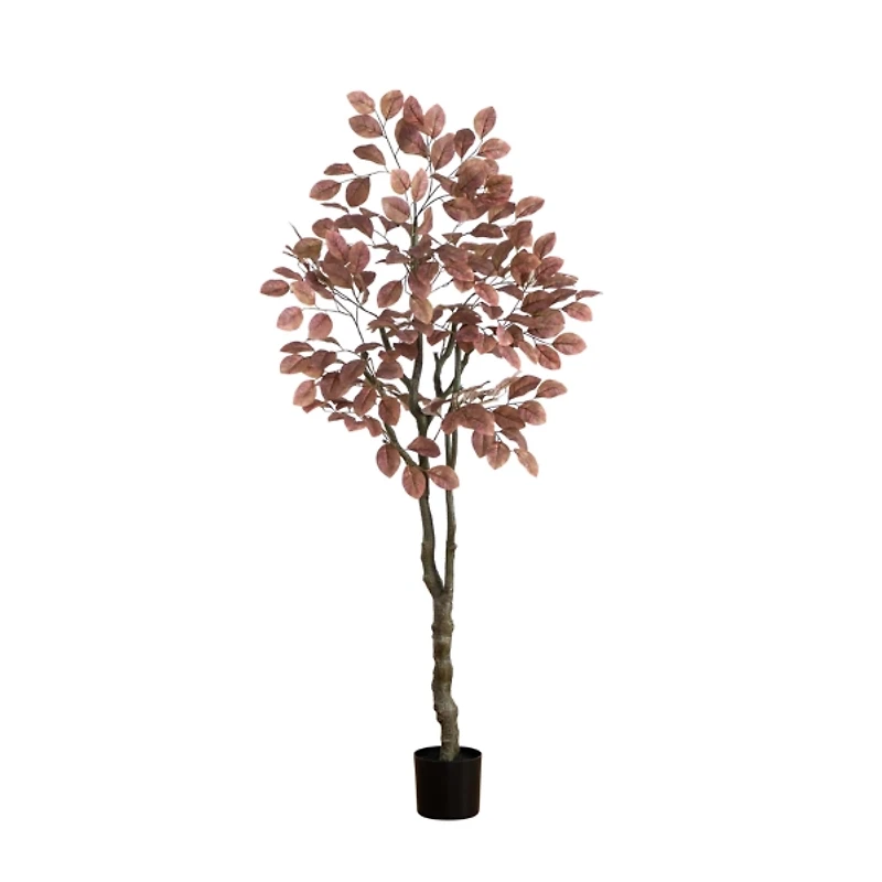 Harvest Dogwood Tree in Nursery Planter, 6 ft.