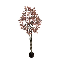 Harvest Dogwood Tree in Nursery Planter, 6 ft.