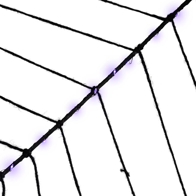Purple LED Spider Web Decoration